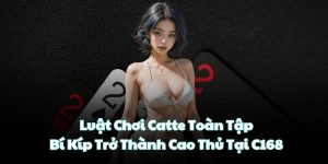 Luật Chơi Catte Toàn Tập: Bí Kíp Trở Thành Cao Thủ Tại C168